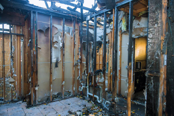 Professional Fire Damage Assessment technician working in Fruita, CO